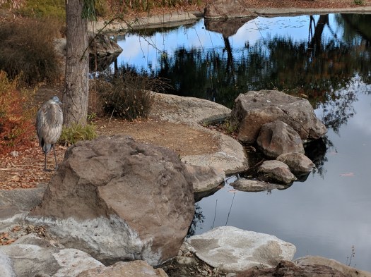 Maker:S,Date:2017-9-20,Ver:6,Lens:Kan03,Act:Lar02,E:Y