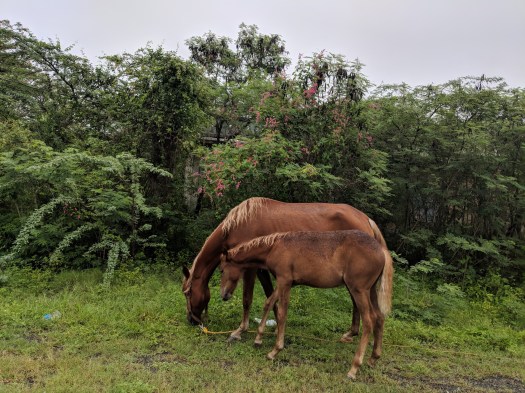 mvimg_20181006_145644