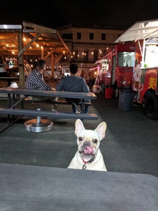 IMG-20191110-WA0006-1