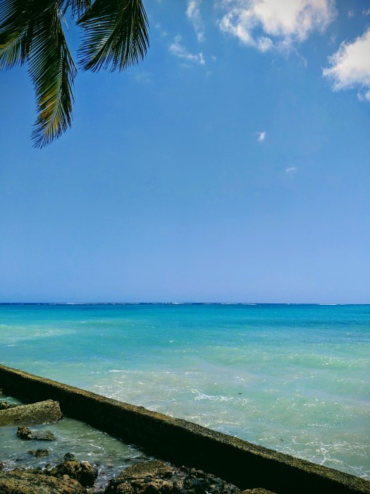 IMG_20190514_112139-EFFECTS